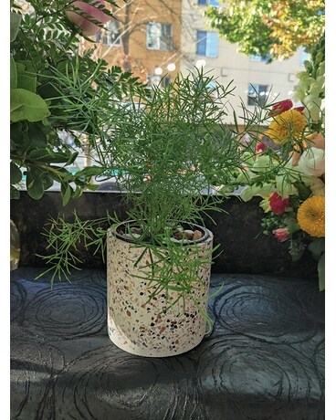 Terrazzo vase size, inches height and inches wide.
