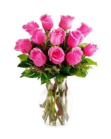 12 STEMS size, inches height and inches wide.