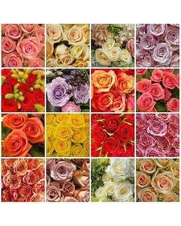 3 Dozen (36) size, inches height and inches wide.