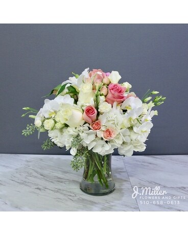 Deluxe size, inches height and inches wide.