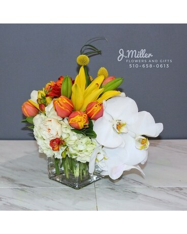 Deluxe (As Shown) size, inches height and inches wide.