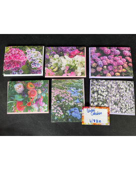 6 Cards size, inches height and inches wide.