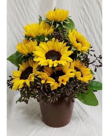 Deluxe (As Shown) size, inches height and inches wide.