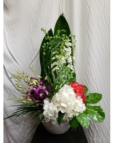 Deluxe (as shown) size, inches height and inches wide.