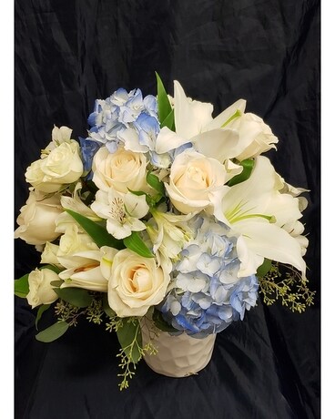 Premium (as shown) size, inches height and inches wide.