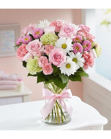 Deluxe size, inches height and inches wide.