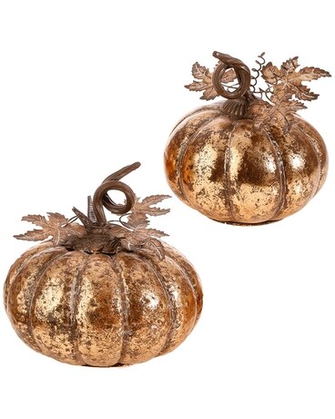as shown size, inches height and inches wide.