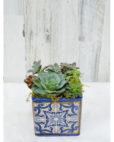 Standard size, 7 inches height and 5 inches wide.