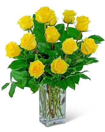 Yellow size, inches height and inches wide.