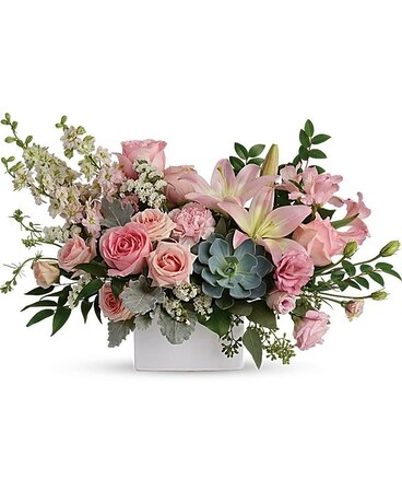 Premium size, 14 inches height and 21 and a half inches wide.