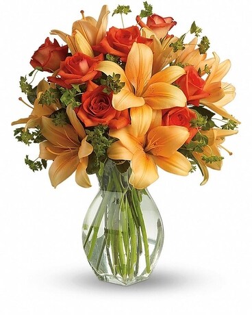As Shown size, 19 and a half inches height and 15 and a half inches wide.
