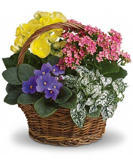 Petite size, 12.5 inches height and 12 inches wide.