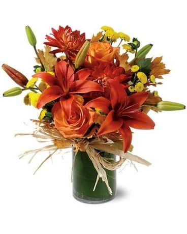 Standard size, 13 inches height and 9 inches wide.