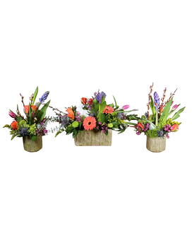 Set of 3 size, inches height and inches wide.