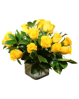As Shown 1.5 dz size, inches height and inches wide.