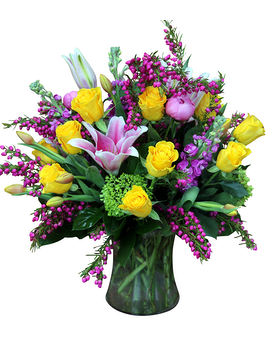 As Shown - Premium size, inches height and inches wide.