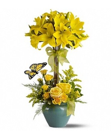 Deluxe size, inches height and inches wide.