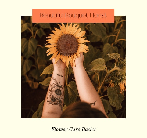 Caring for flowers