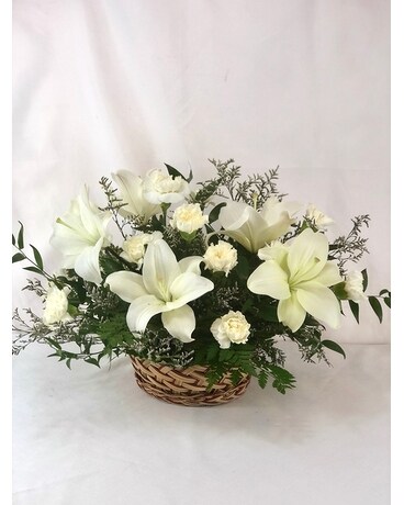 Premium size, inches height and inches wide.