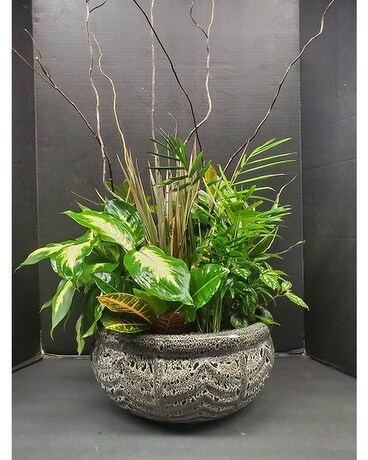 12" Ceramic size, inches height and inches wide.