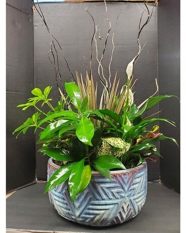 14" Ceramic size, inches height and inches wide.