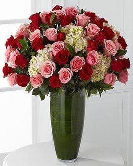 SUPER PREMIUM size, inches height and inches wide.