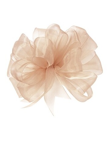 w/ Champagne Ribbon size, inches height and inches wide.