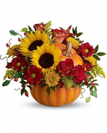 Premium size, 12 3/4 inches height and 15 and a half inches wide.