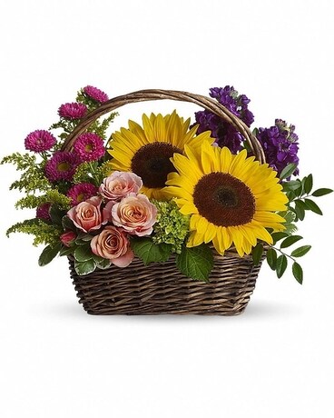 Deluxe size, 13 inches height and 19 inches wide.