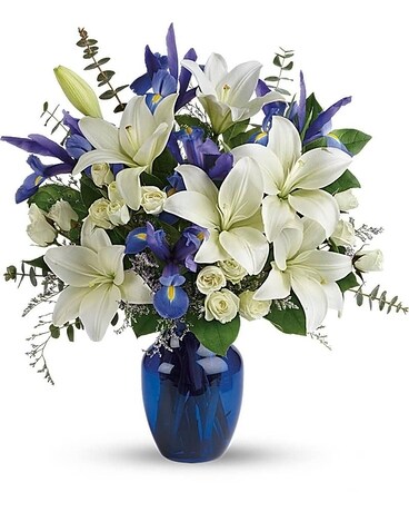 Deluxe size, 19 3/4 inches height and 18 and a half inches wide.