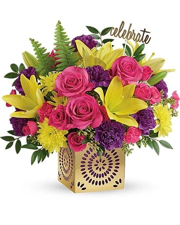 Premium size, 14 1/4 inches height and 15 inches wide.