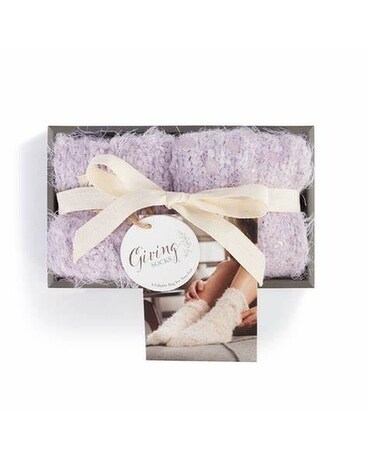 Lavender size, inches height and inches wide.
