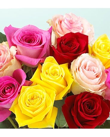 Mixed Colors size, inches height and inches wide.