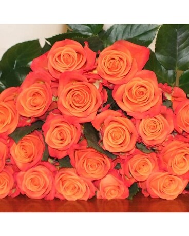 Orange size, inches height and inches wide.