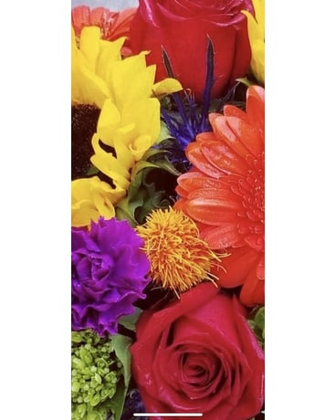Premium Example size, inches height and inches wide.
