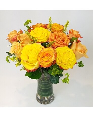 3 Dozen size, inches height and inches wide.