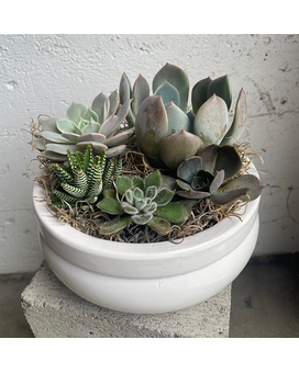 Standard size, inches height and inches wide.