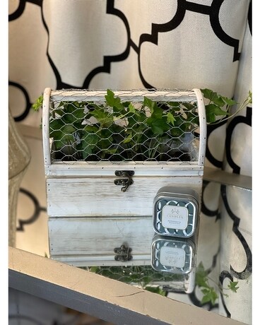 Standard- Terrarium with Tin Candle size, inches height and inches wide.