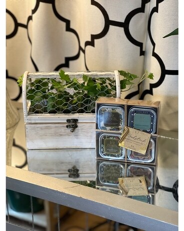 Premium- Terrarium with Gift Set of 4 size, inches height and inches wide.