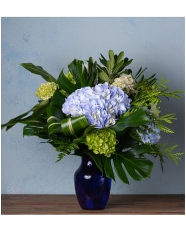 Premium (Pictured) size, inches height and inches wide.