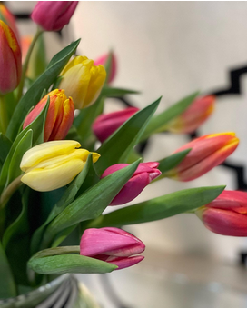 Small- 14 tulips size, inches height and inches wide.