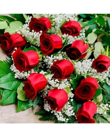18 Red Roses 60 cm Select size, inches height and inches wide.