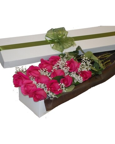12 roses size, inches height and inches wide.