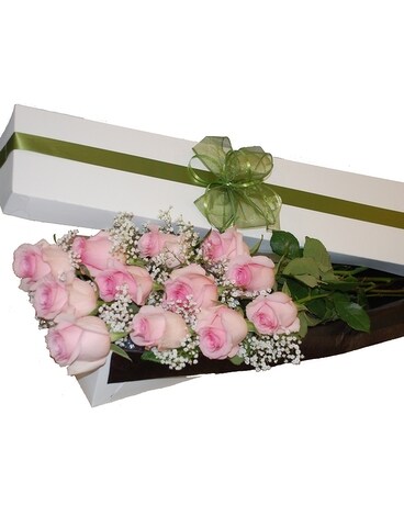 12 roses size, inches height and inches wide.