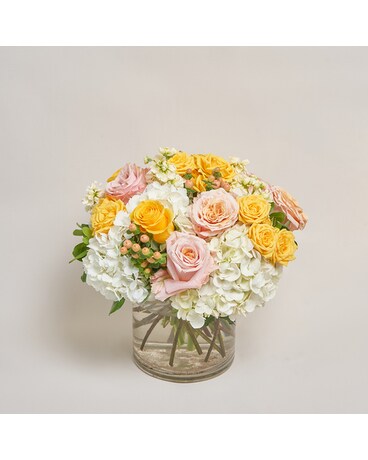Deluxe size, inches height and inches wide.