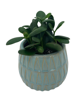 Small planter size, inches height and inches wide.