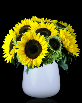 As Shown size, inches height and inches wide.