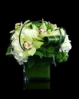 As Shown (10inW x 8.5inH) size, inches height and inches wide.