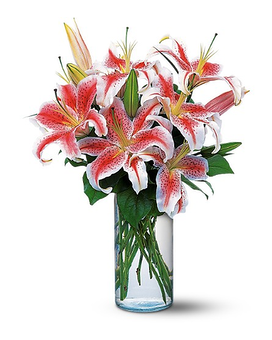 Deluxe size, inches height and inches wide.