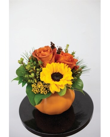 Deluxe size, inches height and inches wide.